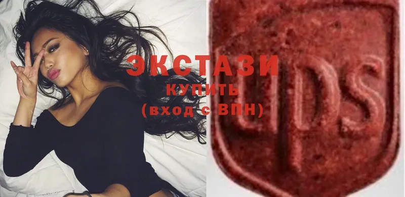 Ecstasy Philipp Plein  Короча 